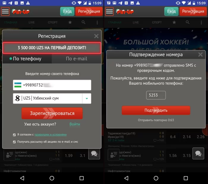 Pin up registratsiya telefon orqali