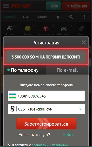 Как зарегистрироваться в Pin up Меню регистрации в Pin up
